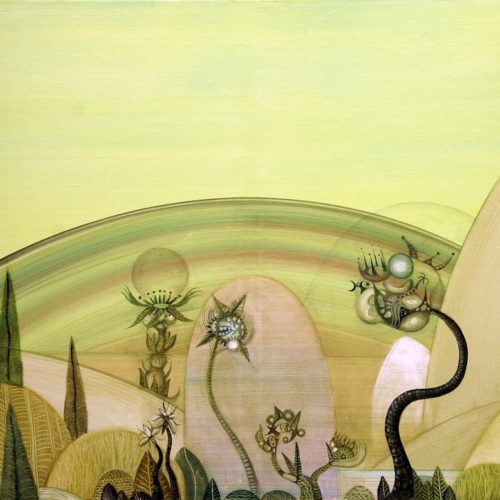 Paradise 146 X1 14 centimetres-min